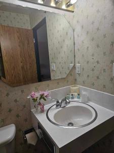 a bathroom with a sink and a mirror at Ocean Marina Hotel in Port Alberni