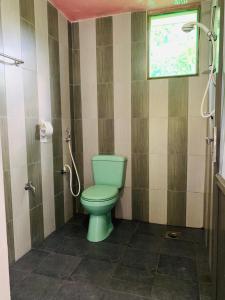 een badkamer met een groen toilet en een raam bij Gal Oya Lake View Inginiyagala in Hida