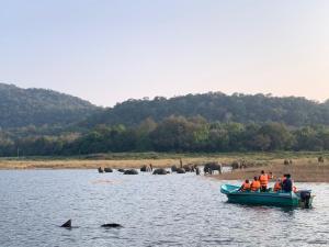 Un groupe de personnes dans un bateau dans l'eau avec des éléphants dans l'établissement Gal Oya Lake View Inginiyagala, à Hida