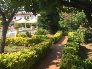 Zahrada ubytování Hotel Vittoria