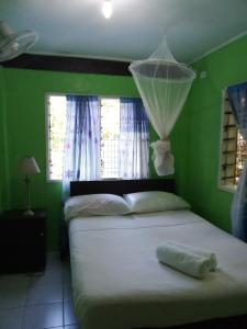 a bedroom with a bed with a green wall at Island Home in Honiara