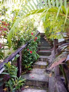 a set of stairs in a garden with flowers at Island Home in Honiara
