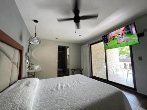 - une chambre avec un lit et une télévision à écran plat dans l'établissement Hotel Casa María Tamasopo, à Tamasopo