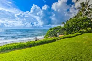 a grassy hill next to a beach with palm trees at Condos in Kapa'a Sands in Kapaa