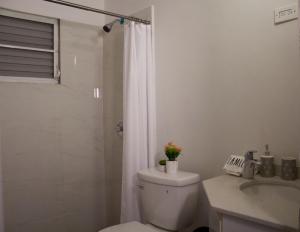 聖胡安的住宿－Blu Lime Apartments，白色的浴室设有卫生间和淋浴。