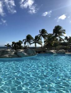 un bassin d'eau avec des palmiers en arrière-plan dans l'établissement Magnifique logement vue mer!, à Saint-François