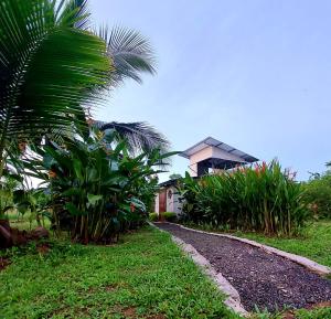a road leading to a house with a palm tree at Bewak CR in Tortuguero +35 photos