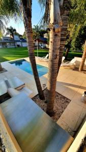 a swimming pool with a palm tree next to it at Casa Quinta La Gualeya in Gualeguay