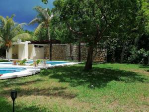 a yard with a tree and a swimming pool at Marysol private beach next to nomads d5 in Isla Mujeres