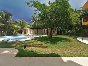 a yard with a swimming pool and a tree at Marysol private beach next to nomads d5 in Isla Mujeres +11 photos