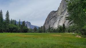 a field of grass with a mountain in the background at Hidden Falls Retreat in Oakhurst