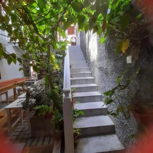 un escalier menant à un bâtiment dans l'établissement Shoba Traveller's Tree, à Galle