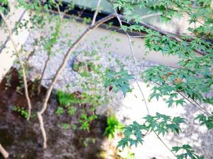 備前ホテル陶　BIZEN HOTEL SUE外面的花园