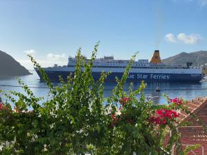 a large cruise ship in the water with flowers at Petridi Maria Suites & Apartments in Patmos