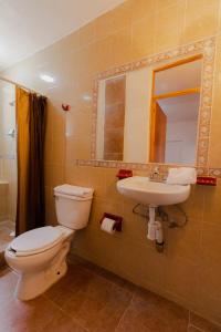瓜納華托的住宿－Hotel Casa 12 Reales Guanajuato，一间带卫生间、水槽和镜子的浴室