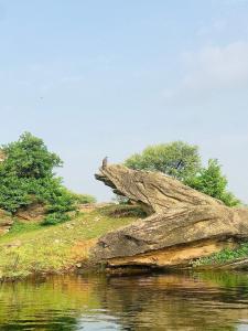 a large rock on the side of a body of water at Deogarh Hills A Village Experience Property in Kaunthal