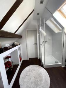 ein Bad im Dachgeschoss mit einer Dusche und einem Teppich in der Unterkunft Ferienwohnung im 'Schmoller - Hof' in Neustadt an der Weinstraße