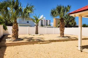 une rangée de palmiers devant une clôture blanche dans l'établissement Sunsets & Sunrises, à Panama City Beach