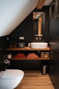een badkamer met een wastafel, een toilet en een spiegel bij Loft 32 in Winsum