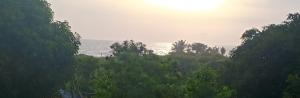 a view of the ocean from a forest of trees at Calangute Sea view stay in Calangute