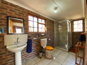 a bathroom with a sink and a toilet and a shower at Sani Lodge Self-Catering Cottages Sani Pass South Africa in Sani Pass