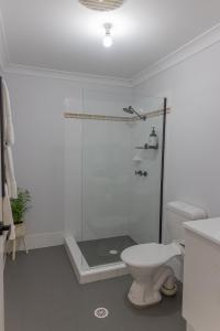 a white bathroom with a shower and a toilet at Sussex Gem - Cozy apartment in the heart of Sussex in Sussex Inlet