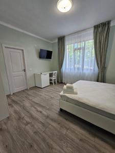 um quarto com uma cama, uma secretária e uma televisão em Colț de Rai em Hîrtoape