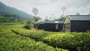 une maison dans un champ de plantations de thé dans l'établissement Bobocabin Pangalengan, Bandung, à Pengalongan