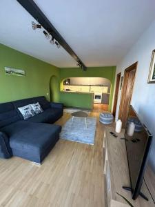 a living room with a blue couch and green walls at Apartament de lux, zona centrala in Gura Humorului