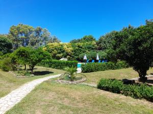 Zahrada ubytování Lemontree Apartments