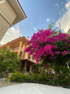 una casa con fiori rosa di fronte di Tanaydın Evleri a Fethiye