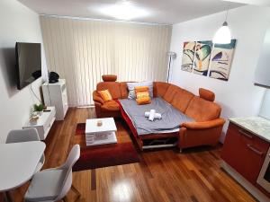 a living room with a couch and a tv at Entire Apartment, FREE PARKING, O2 Arena, Metro 3 min, City Center 10 min in Prague