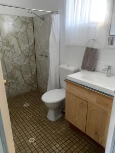 a bathroom with a shower and a toilet and a sink at Hatton Vale Motel in Hatton Vale