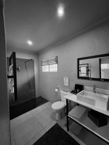 a bathroom with a toilet and a sink and a shower at Fever Tree Guesthouse in Hillcrest