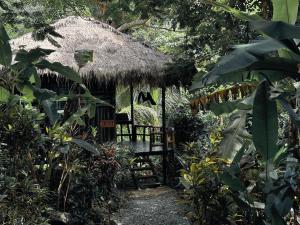 Zahrada ubytování Oasis Koh Chang