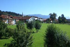 un gran campo verde con casas y árboles en Ferienwohnung Stoll Helga, en Burgberg 4 fotos más
