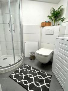 費爾巴赫的住宿－05- Zentral & ruhig mit SmartTV，一间带卫生间和淋浴的浴室以及地毯。