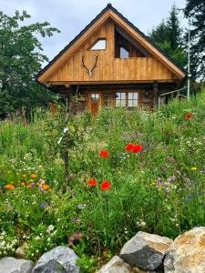 Κήπος έξω από το Blockhaus PanHütte