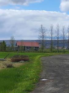 a house in a field next to a road at Sibbu Hús in Brjansstadir