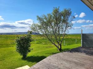 un arbre assis au-dessus d'un champ vert dans l'établissement Sibbu Hús, à Brjansstadir