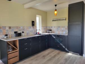 a kitchen with blue cabinets and a counter top at Sibbu Hús in Brjansstadir