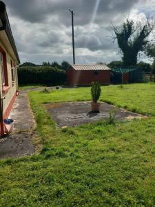 um quintal com uma casa e um vaso de plantas em Country House 20 minutes to Galway City em Kilcolgan