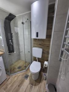 Vannituba majutusasutuses Felix apartman Zajecar +4 fotot