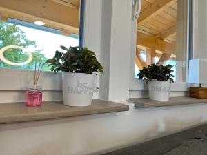 deux plantes en pot assises sur des étagères dans une fenêtre dans l'établissement Gasthaus Bomsdorf - Ruhe auf dem Land, 