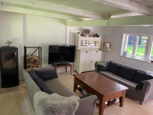 ein Wohnzimmer mit Sofas, einem Tisch und einem TV in der Unterkunft Bokis - Modern Forest Cottage in Brösarp