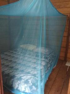 a bed covered in a blue mosquito net at Masokut Surf Camp Siberut Mentawai front wave,E-Bay,Beng-Bengs,Pitstops ,Bank Vaults,Nipussi in Masokut