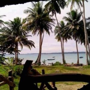 une personne assise sur une chaise longue sur une plage bordée de palmiers dans l'établissement Nyang Ebay Surf Camp siberut front E-Bay,Beng-Bengs,Pitstops,Bank Vaults,Nipussi, à Masokut