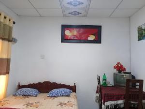 a bedroom with a bed and a tv on a wall at LD RoomA DunhidA in Badulla
