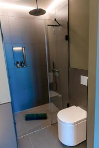 La salle de bains est pourvue de toilettes et d'une douche en verre. dans l'établissement CABANA - TheView - 10th Floor - Terrasse - Waterfront - Hafenviertel, à Oldenbourg