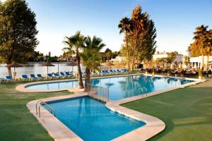 a swimming pool at a resort with palm trees and chairs at Grupotel Amapola in Playa de Muro